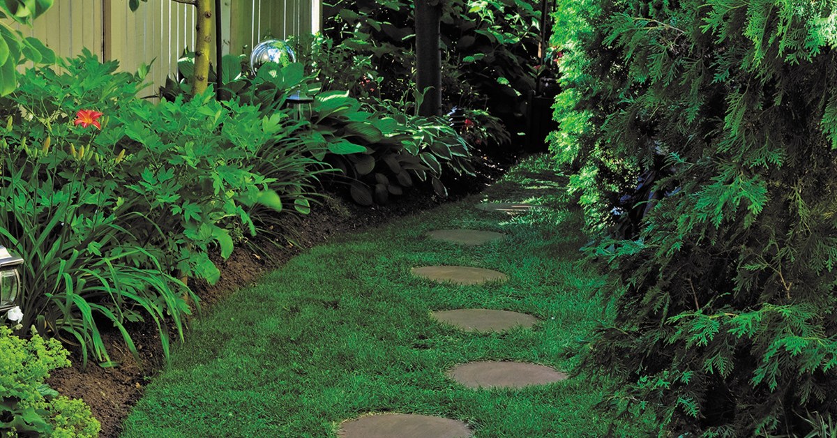Create a Shade Garden Oasis